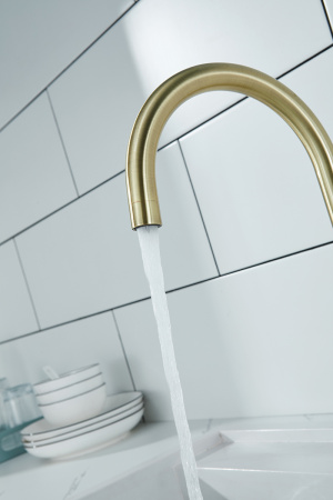Смеситель для кухни Paulmark ESSEN Es213211-BR на мойку бронза